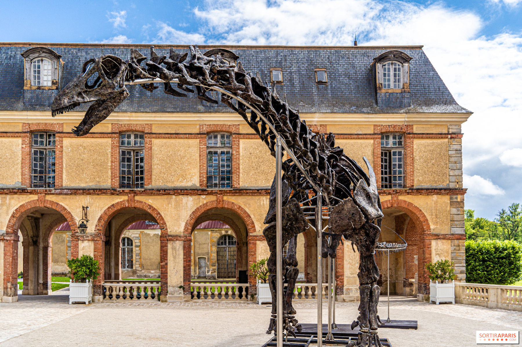 Vulcan, crucial dinosaur provided at public sale this Saturday, November 16 in Dampierre-en-Yvelines